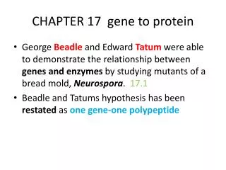 CHAPTER 17 gene to protein