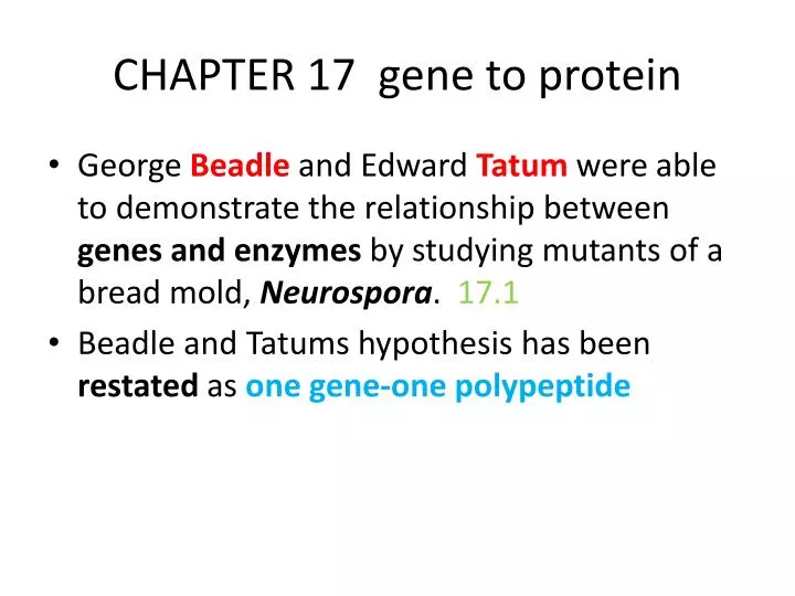 chapter 17 gene to protein