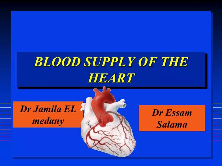 blood supply of the heart