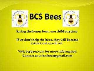BCS Bees