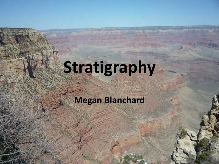 stratigraphy