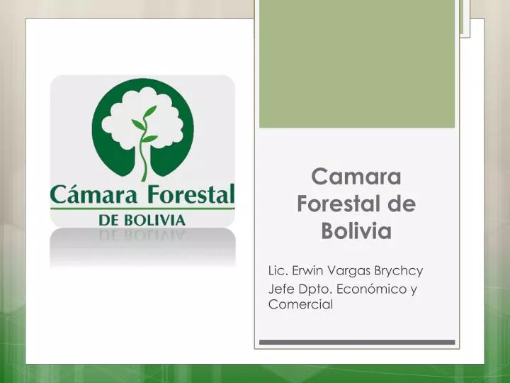 camara forestal de bolivia