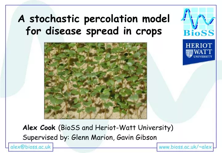 a stochastic percolation model for disease spread in crops