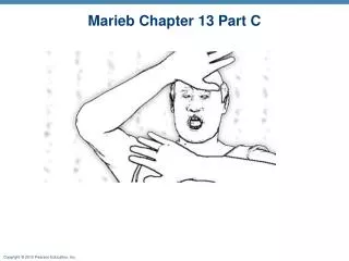 Marieb Chapter 13 Part C