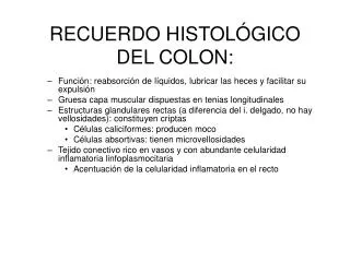 recuerdo histol gico del colon