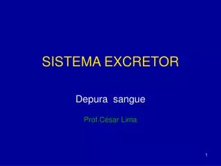 sistema excretor