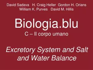 What roles do excretory organs play in maintaining homeostasis?