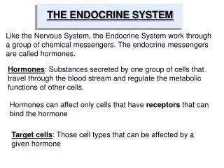 THE ENDOCRINE SYSTEM