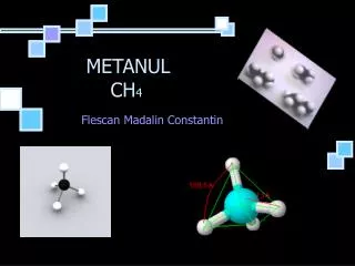 flescan madalin constantin