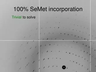 100% SeMet incorporation