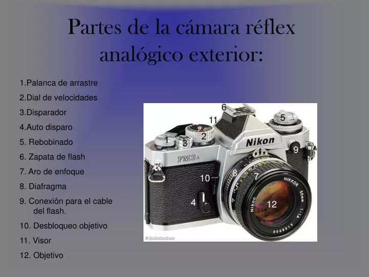 Partes internas de una cámara fotográfica réflex digital