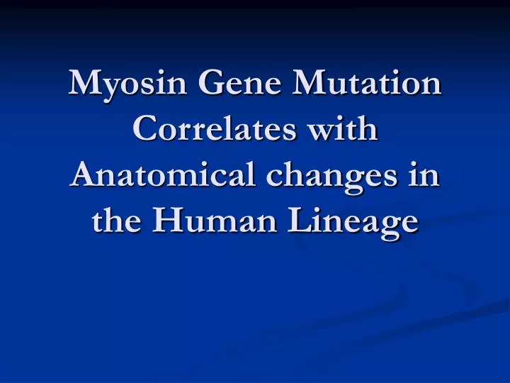 myosin gene mutation correlates with anatomical changes in the human lineage