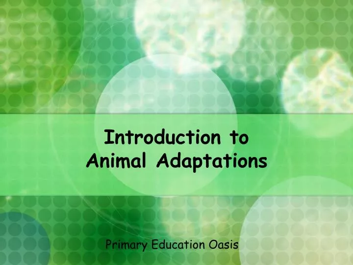 introduction to animal adaptations