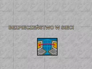 bezpiecze stwo w sieci