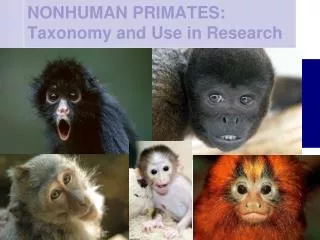 NONHUMAN PRIMATES: Taxonomy and Use in Research