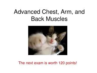 Advanced Chest, Arm, and Back Muscles