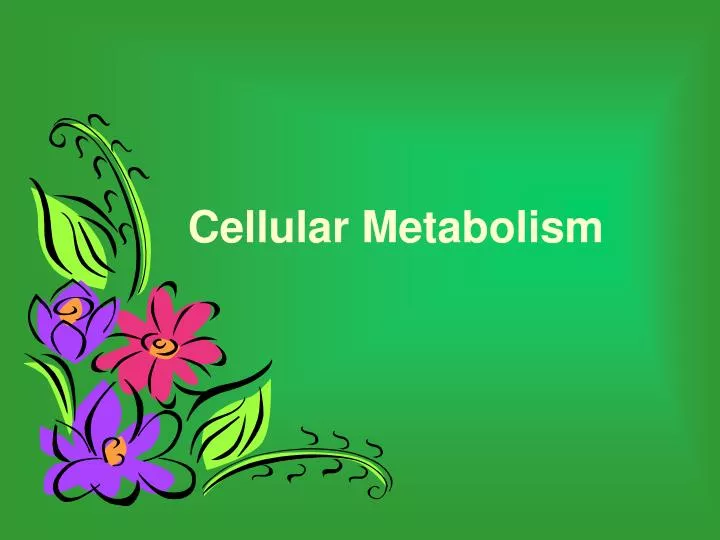 cellular metabolism