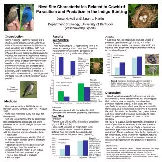 Nest Site Characteristics Related to Cowbird Parasitism and Predation in the Indigo Bunting