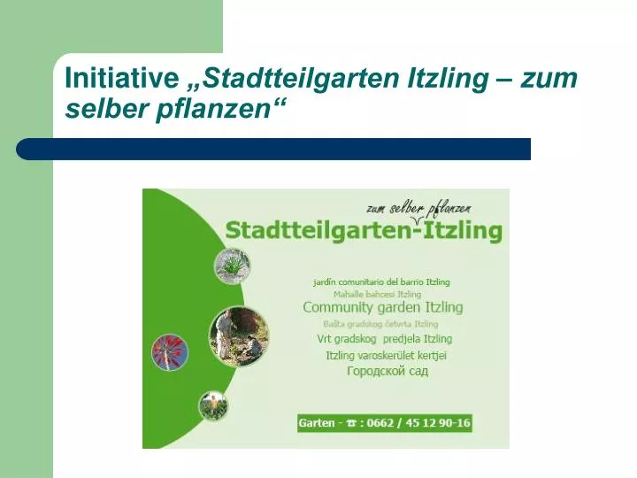 initiative stadtteilgarten itzling zum selber pflanzen