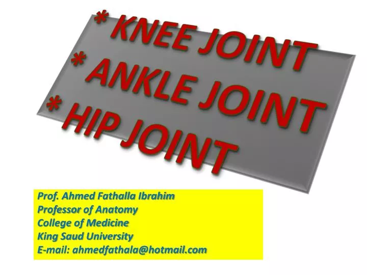knee joint ankle joint hip joint