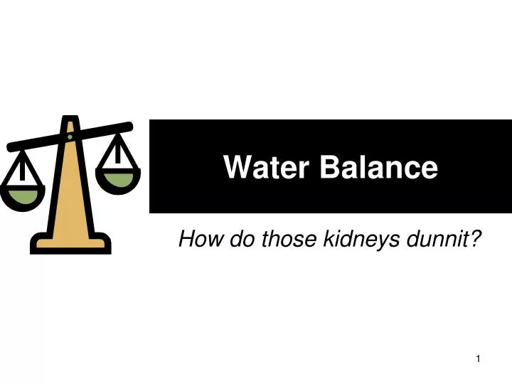 water balance