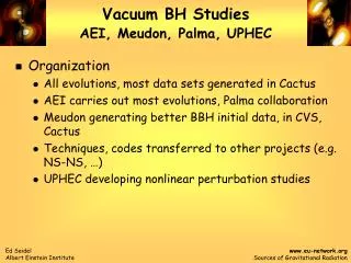 Vacuum BH Studies AEI, Meudon, Palma, UPHEC