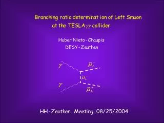 Outline ?The smuon left decay into SPS1a scenario. ?A brief approach to the TESLA photon collider.