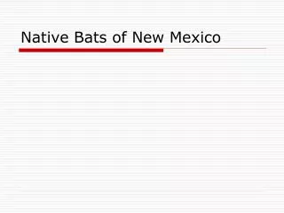 Native Bats of New Mexico