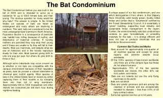 The Bat Condominium