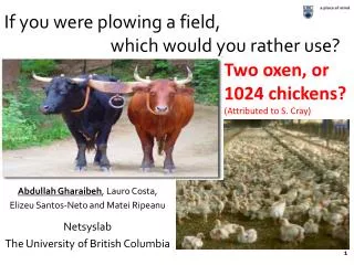 If you were plowing a field, 			which would you rather use?