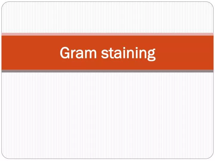 gram staining