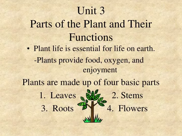 unit 3 parts of the plant and their functions