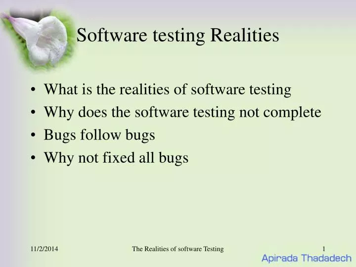 software testing realities