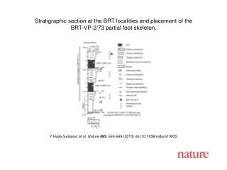 Y Haile-Selassie et al . Nature 483 , 565- 569 (2012) doi:10.1038/nature10922