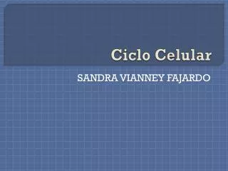 ciclo celular