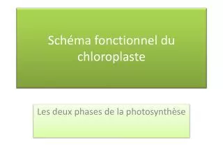 sch ma fonctionnel du chloroplaste