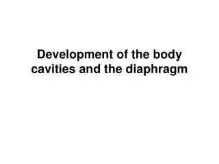 Development of the body cavities and the diaphragm