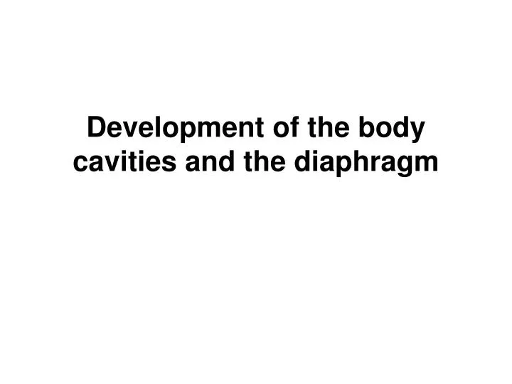 development of the body cavities and the diaphragm