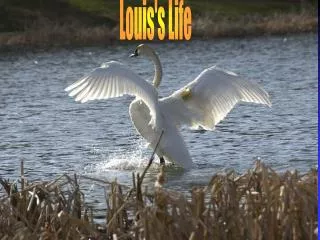 Louis's Life
