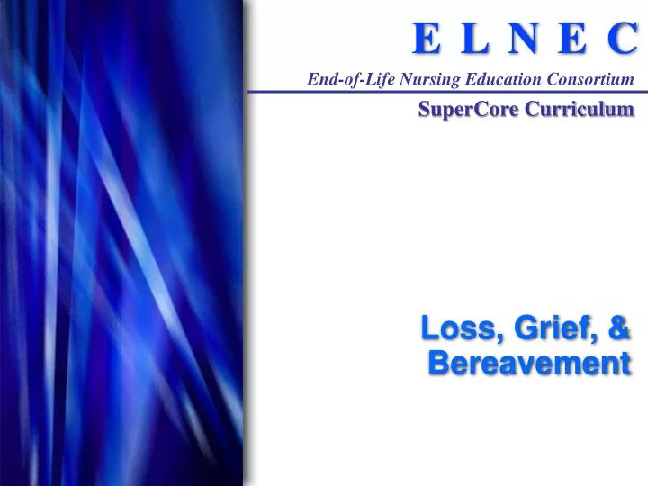 PPT - Loss, Grief, & Bereavement PowerPoint Presentation, Free Download ...