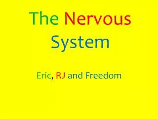 The Nervous System