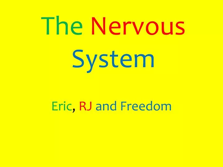 the nervous system