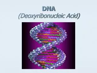 dna deoxyribonucleic acid