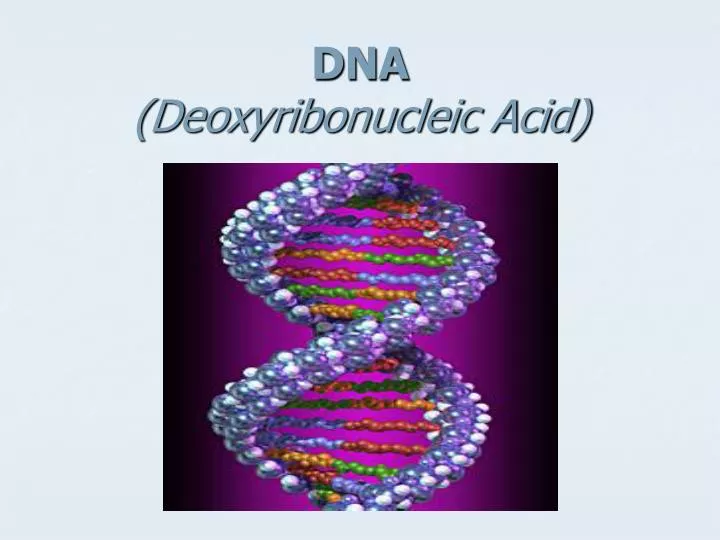 dna deoxyribonucleic acid
