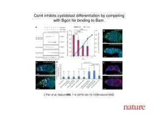 L Pan et al. Nature 000 , 1-4 (2014) doi:10.1038/nature13562