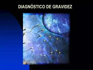 diagn stico de gravidez