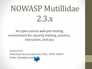 NOWASP Mutillidae 2.3.x