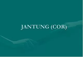 jantung cor