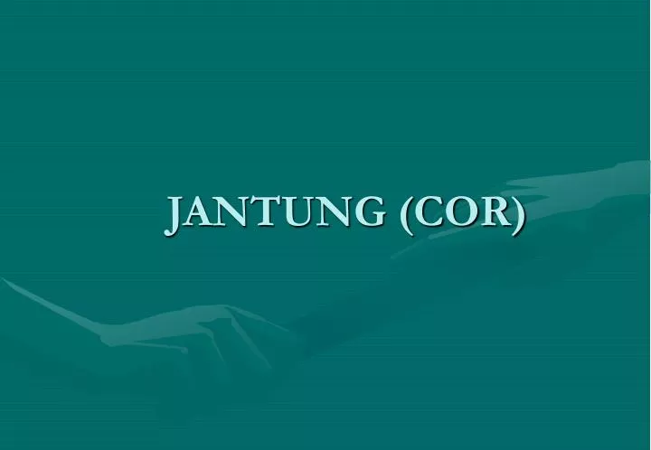 jantung cor