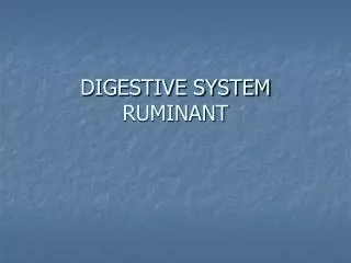DIGESTIVE SYSTEM RUMINANT